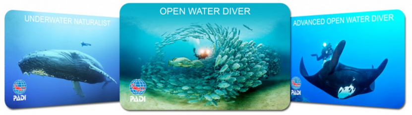 aware-card-certification-tenerife-diving-academy-protect-our-ocean-project-aware