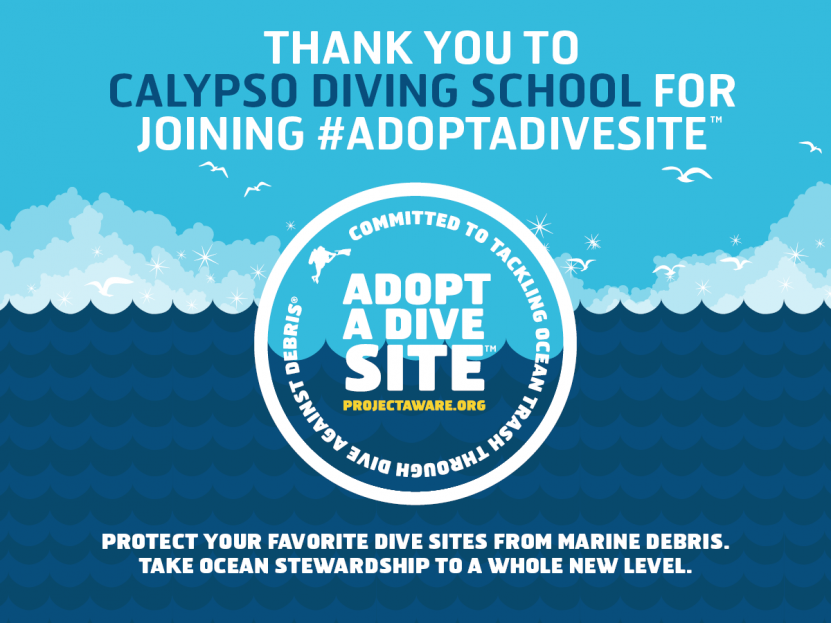 We have adopted a dive site!