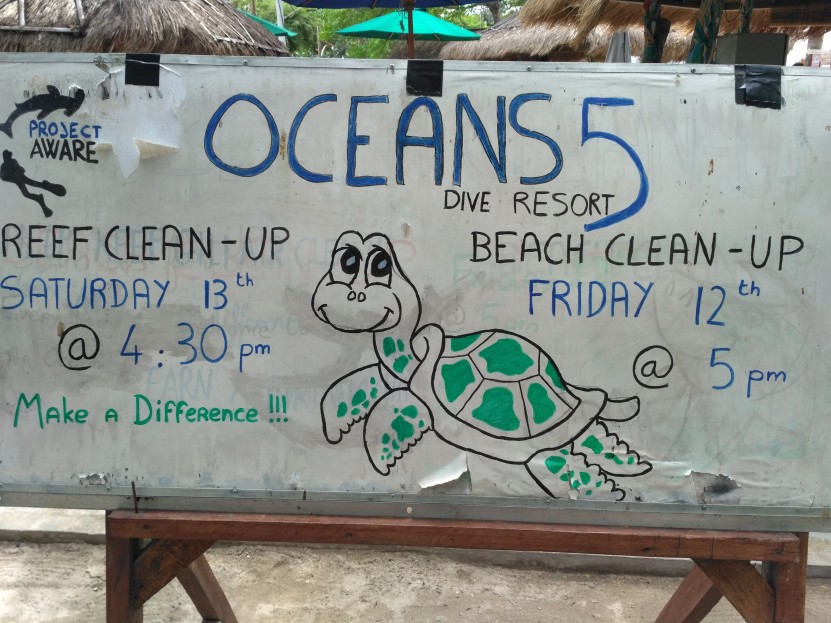 Team reef clean up 