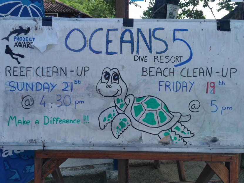 Team reef clean up 