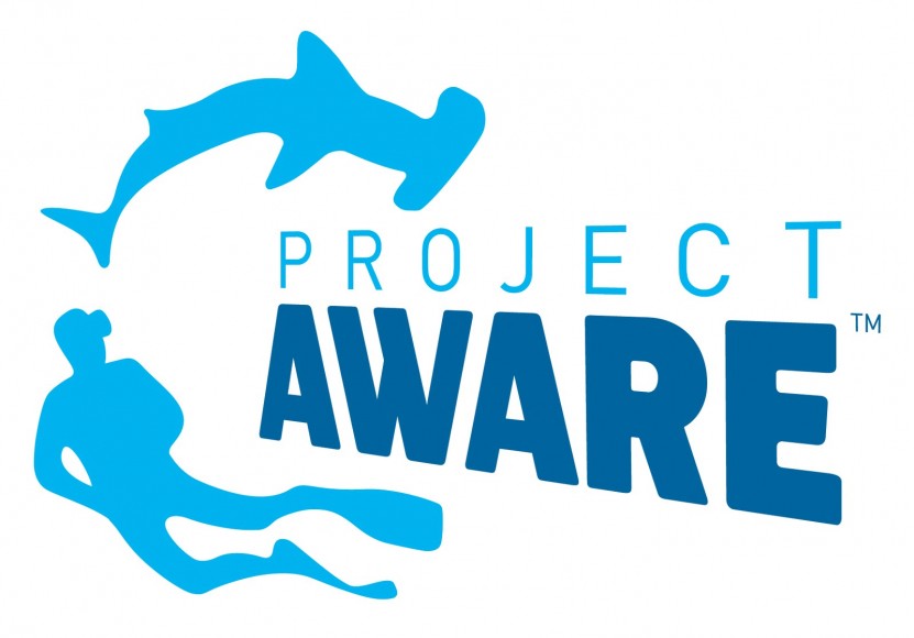 Come and Join the Pyramids team get Project Aware!