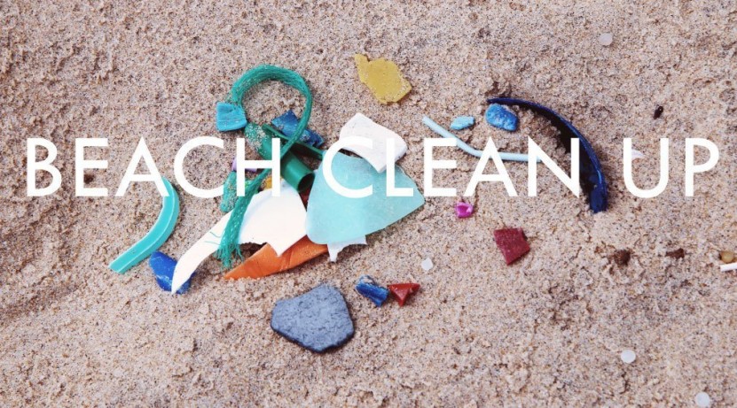 Beach Clean San Augustin Playa  World Ocean Day 