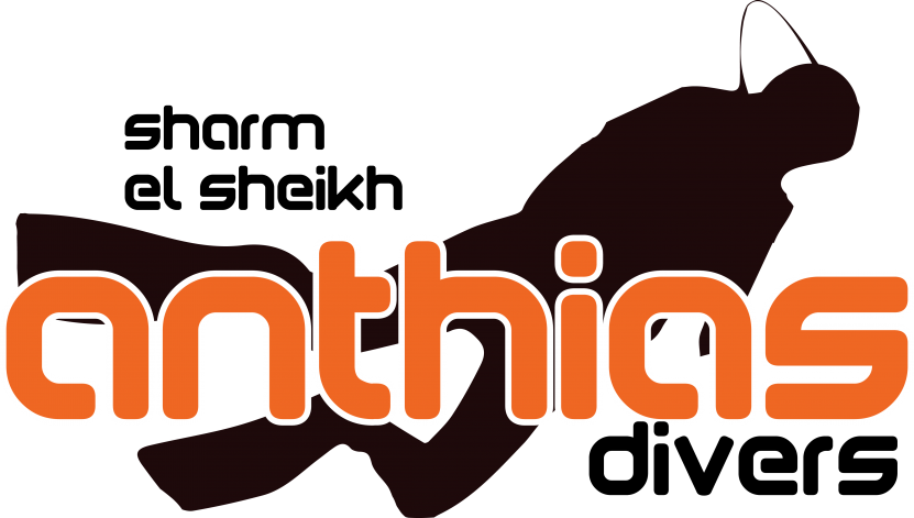 Anthias Divers