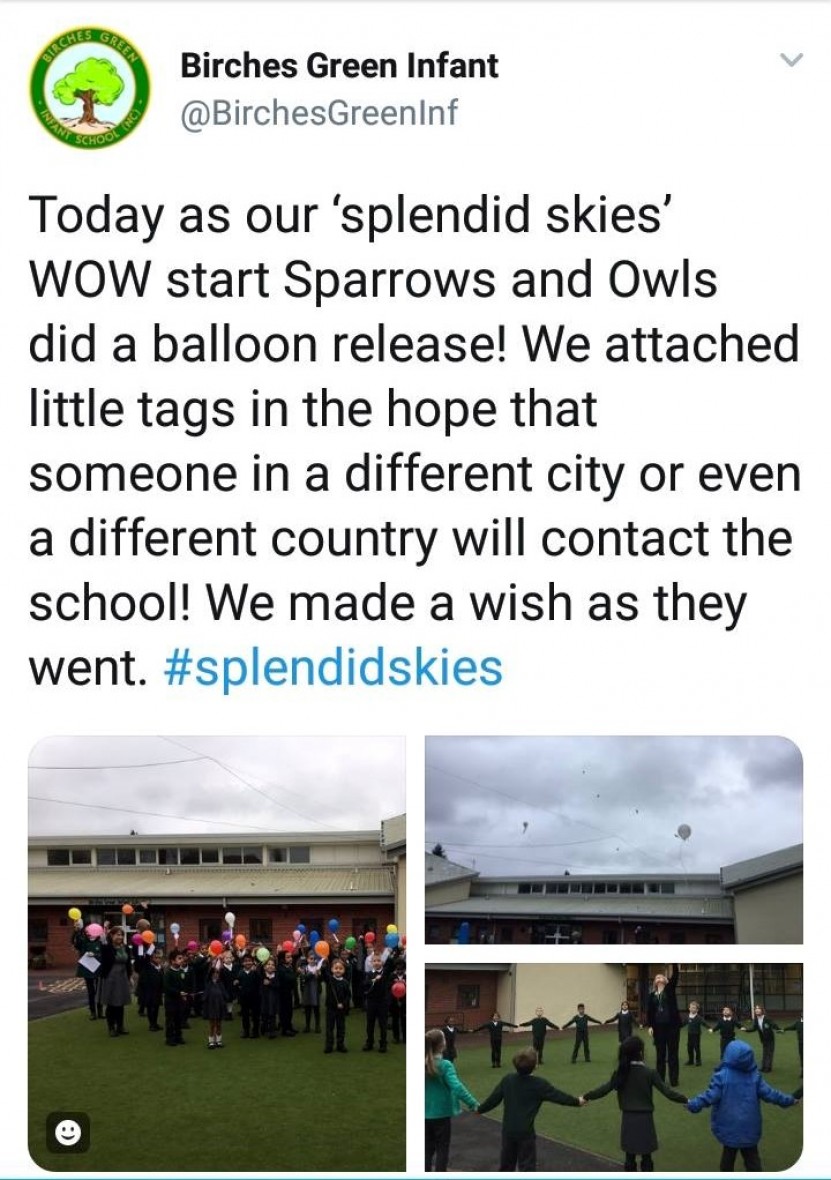 Birches Green Infant School, Splendid Skies, Balloon Release, 11 January 2019, sky littering, don't let go, balloons blow, Rosemary E Lunn, Roz Lunn, X-Ray Mag, XRay Magazine, environment, RSPB