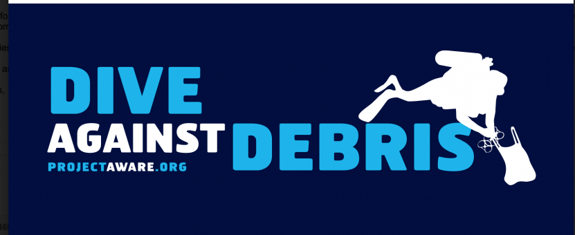 Clean-up and Dive against Debris