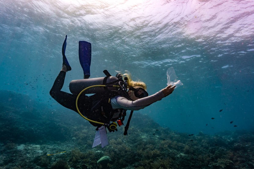 Plastic catch image