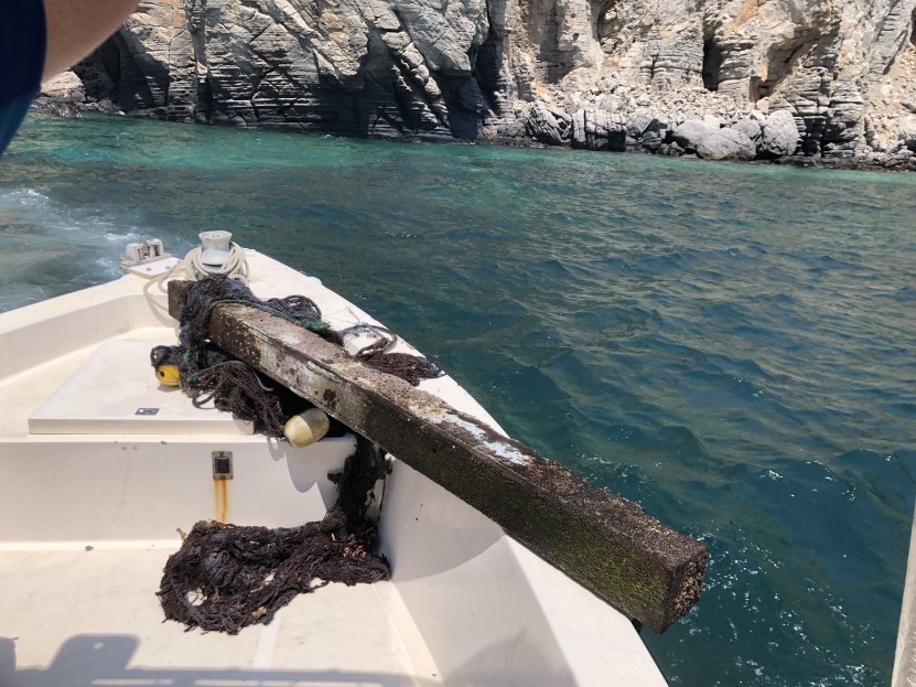 Marine debris - abandoned fishing nets and wood