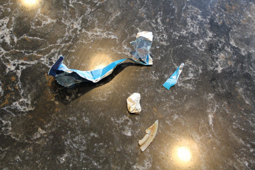 Debris pick up during a recent dive in Tobermory