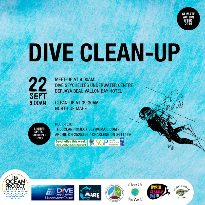 dive cleanup