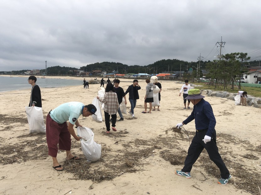 yang yang beach clean up01