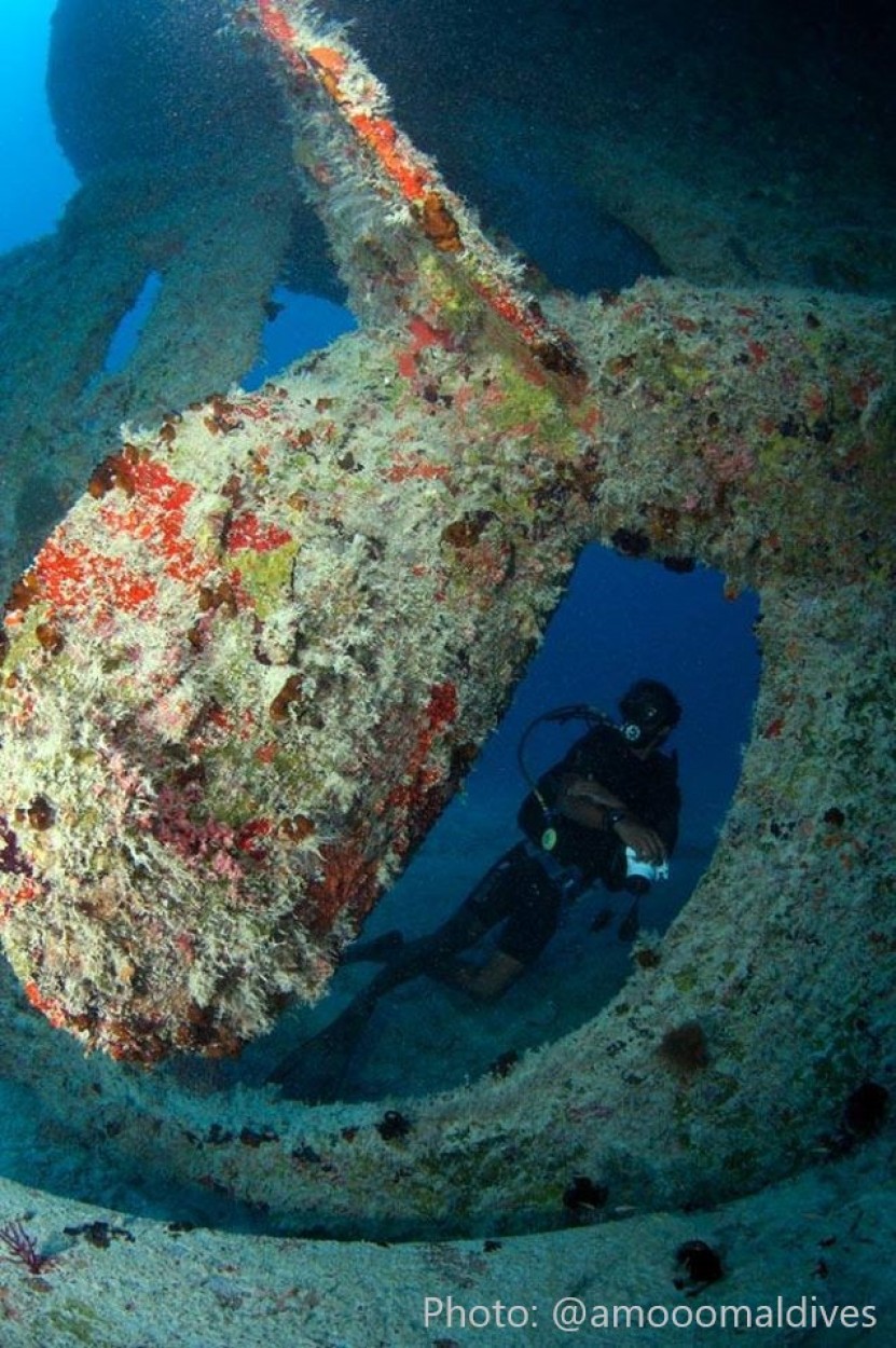 Advocating to recognize Maldive Victory Wreck as part of Maldives maritime heritage and conserve it for future generations.