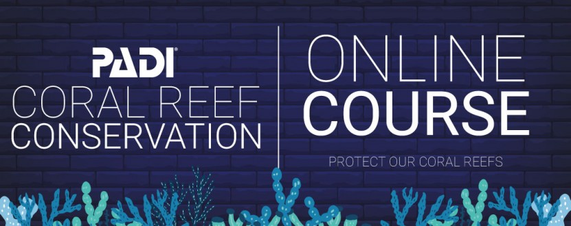 AWARE Coral Reef Conservation Course