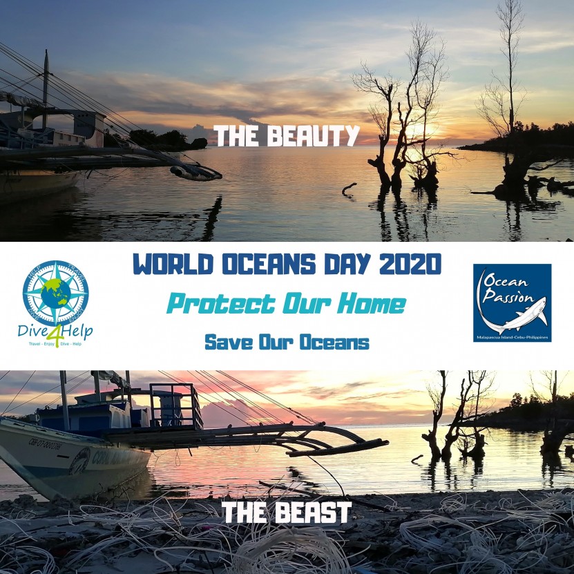 Underwater cleanup with Ocean Passion. Limited divers because the pandemic situation 