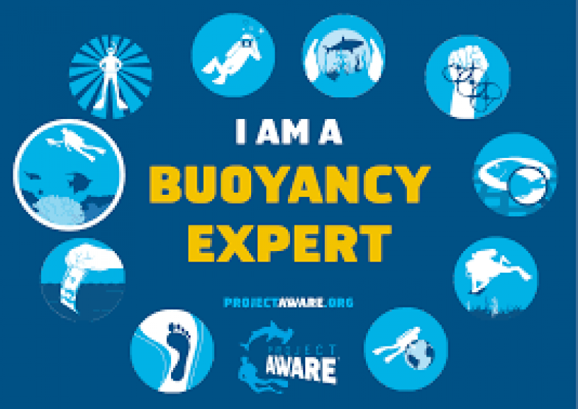 I am a Buoyancy Expert