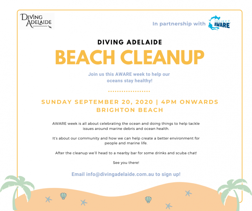 Diving Adelaide Beach Cleanup