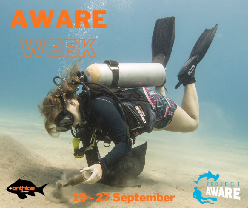Dive Against Debris