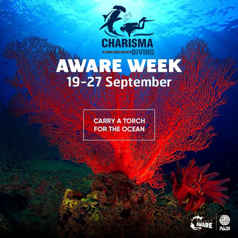 Port Sudan Main corniche Beach Cleanup for AWARE week