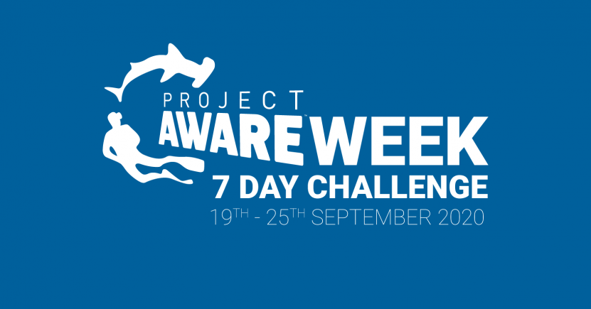 Project AWARE Week 7 day challenge