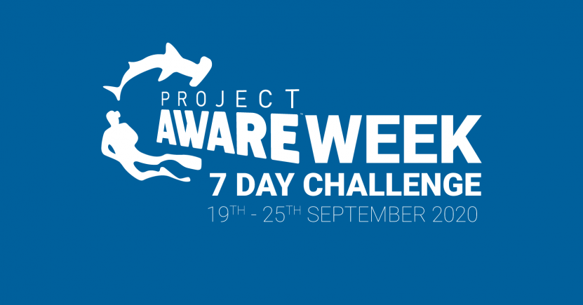 Project AWARE Week 7 Day Challenge