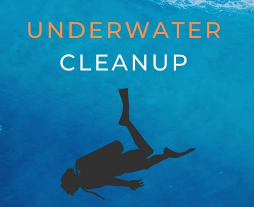 Underwater Cleanup promoted by Clube Naval de Cascais, Sailors for the Sea Portugal and Cascais Ambiente.   Let's protect our Ocean! 
