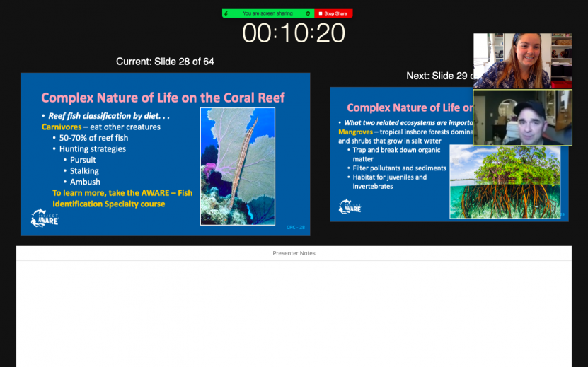 Screenshot of a slide with a trumpetfish, mangroves, ocean, & fish predator information 