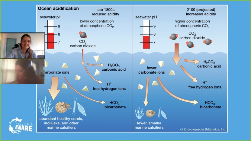 Diagram depicting ocean acidification changes during the post industrial revolution era