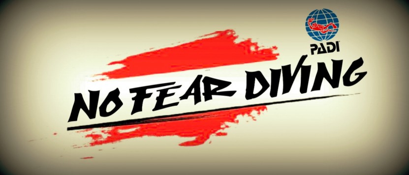 No Fear Diving Amed Bali deutsche PADI Tauchschule