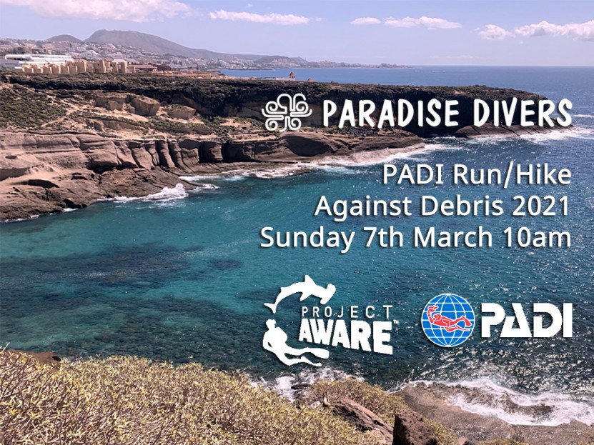 Paradise Divers Run Against Debris Event - 2021