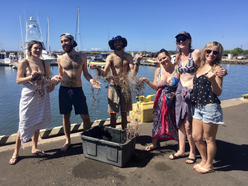 20lbs of fishing debris removed!