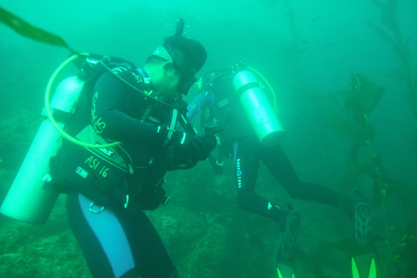 Cal Poly Pomona student divers are searching for critters and debris to clean up!
