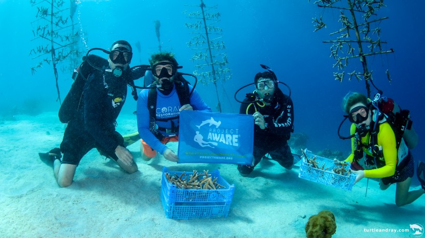 PADI AWARE Foundation supports Reef Renewal Curacao