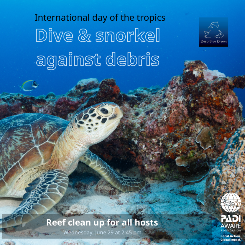Dive and Snorkel against debris on 29Th of June 2022