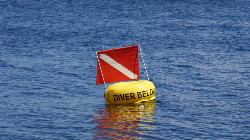 Surface marker bouy