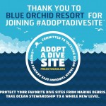 Adopt A Reef