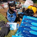 Cleaning up the local hiking trails