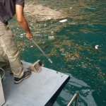 Joan cleaning from the boat