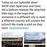 Birches Green Infant School, Splendid Skies, Balloon Release, 11 January 2019, sky littering, don't let go, balloons blow, Rosemary E Lunn, Roz Lunn, X-Ray Mag, XRay Magazine, environment, RSPB 