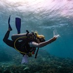 Plastic catch image