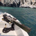 Marine debris - abandoned fishing nets and wood