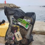 Gangneung Beach Cleanup