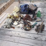 Dive against debris