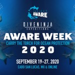 PROJECT AWARE EVENT 2020 WITH DIVE NINJA EXPEDITIONS 