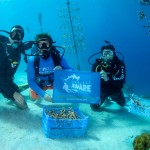 PADI AWARE Foundation supports Reef Renewal Curacao